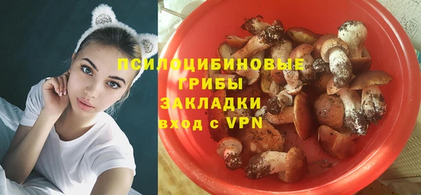 круглые Абаза