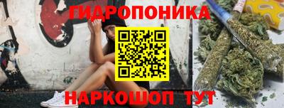 Альфа ПВП Гатчина