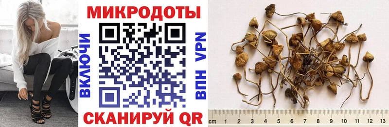 наркота Псков Псилоцибиновые грибы MAGIC MUSHROOMS