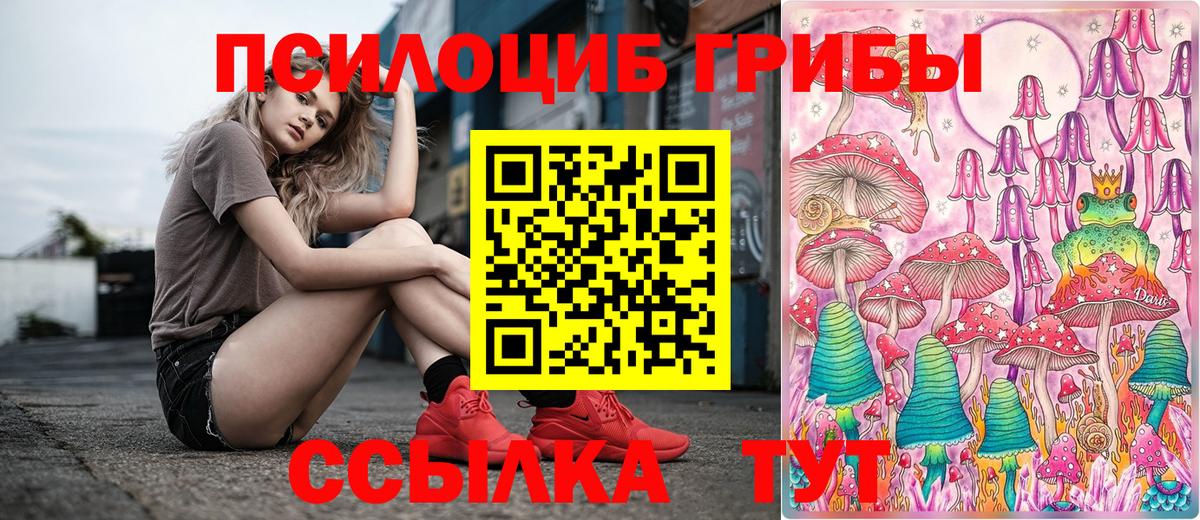 Псилоцибиновые грибы MAGIC MUSHROOMS Псков
