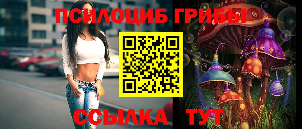 Псков  Галлюциногенные грибы GOLDEN TEACHER  купить   Вход с VPN 